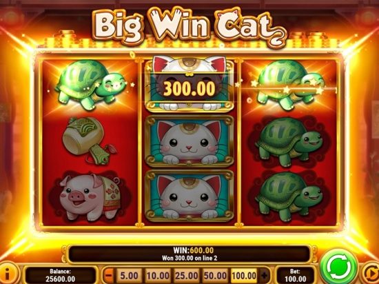 Big Win Cat Slot Game Image