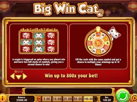 Big Win Cat Slot Game Image