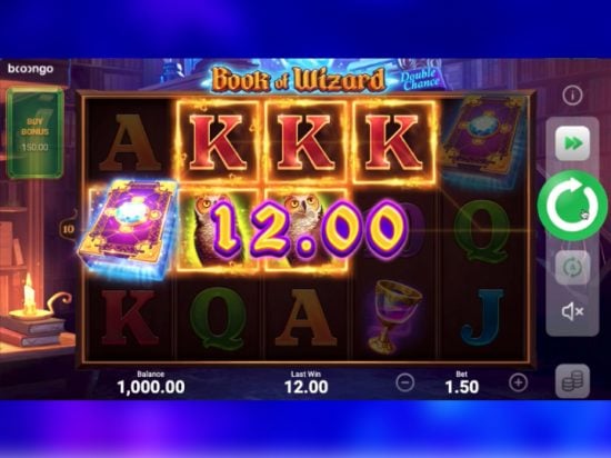 Book of Wizard Double Chance slot game image