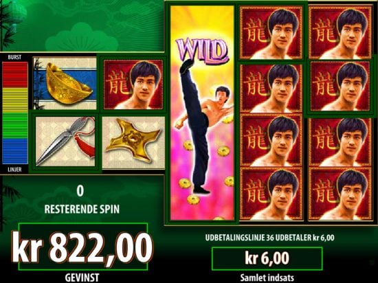 Bruce Lee Slot Game Image