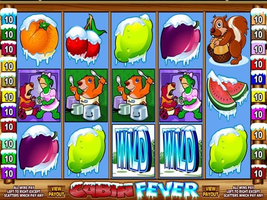 Cabin Fever slot game image