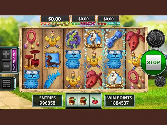 Cats and Dogs slot image