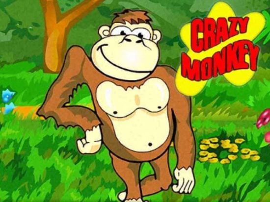 Crazy Monkey slot game image