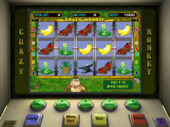 Crazy Monkey slot game image