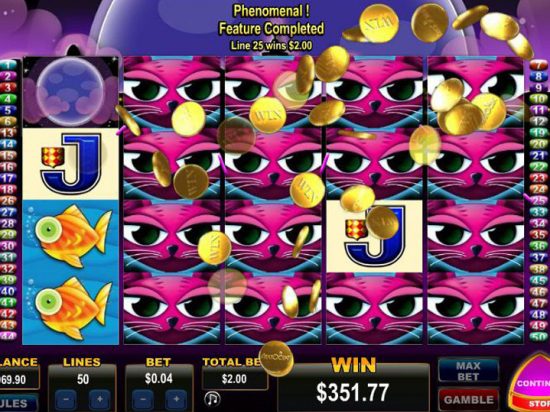Miss Kitty slot game image