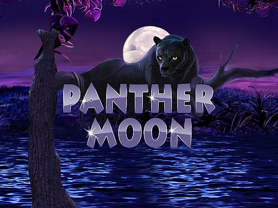 Panther Moon slot game image