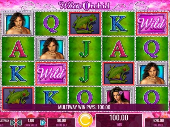 White Orchid slot game image