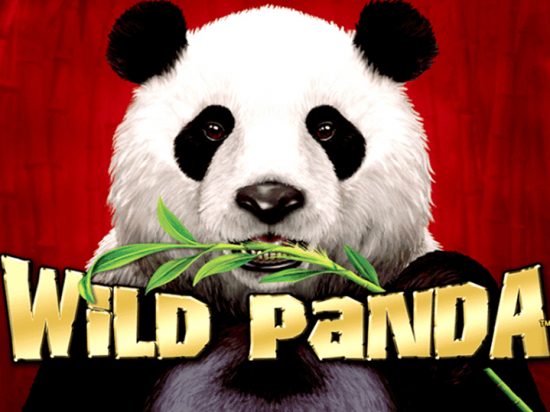 Wild Panda slot game image