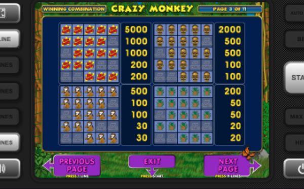 Crazy monkey paytable