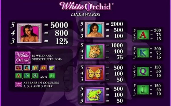White orchid paytable